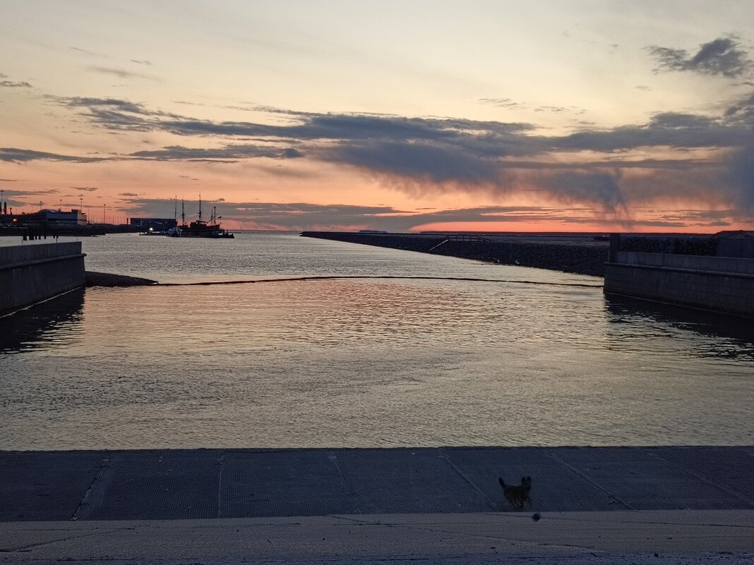 Закат - Митя Дмитрий Митя