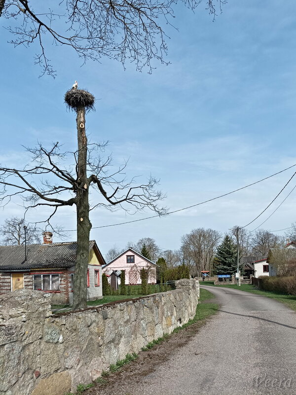 Прилетели! - Veera V