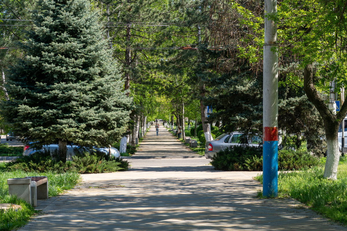 Весенний город - Игорь Сикорский Весенний город - Игорь Сикорский