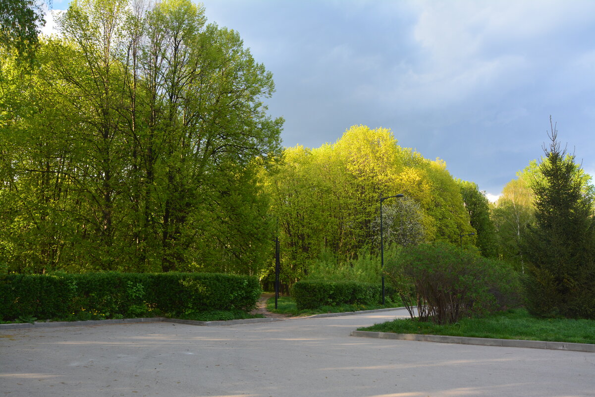 На развилке аллей - Александр Буянов На развилке аллей - Александр Буянов