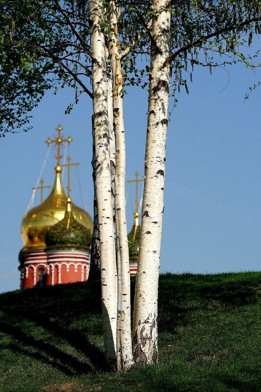 Парк Зарядье - александр Парк Зарядье - александр