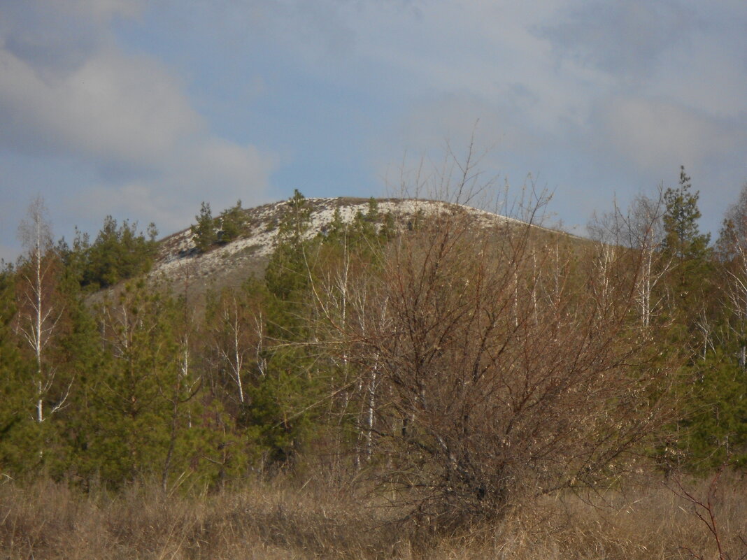 Хвалынские просторы - Елена Шаламова