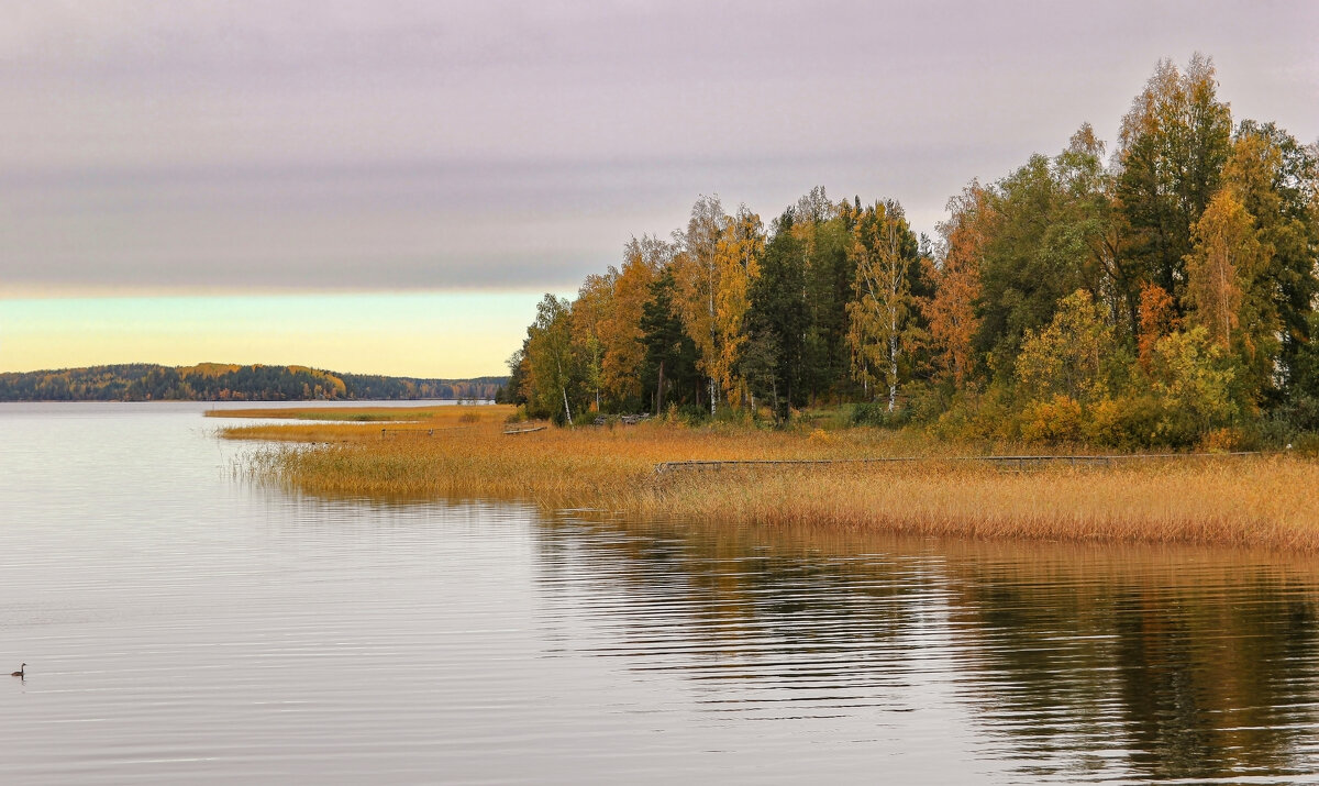 Уточка - skijumper Иванов