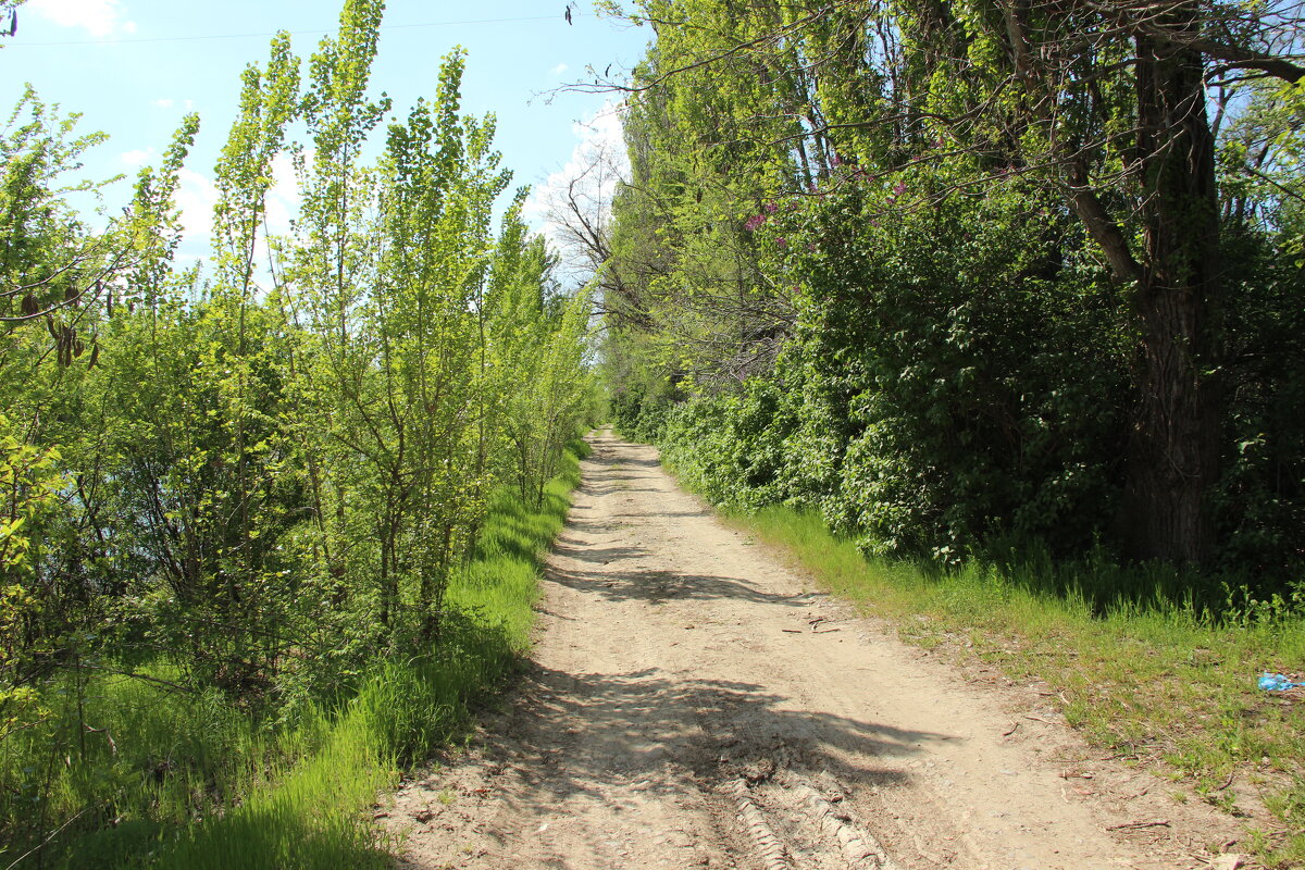 Мои дороги. - Виктор 