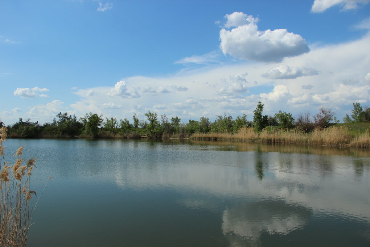Донские виды. - Виктор 