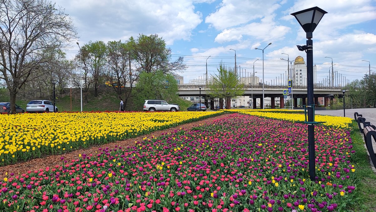 ,,, - Сергей Тимоновский ,,, - Сергей Тимоновский