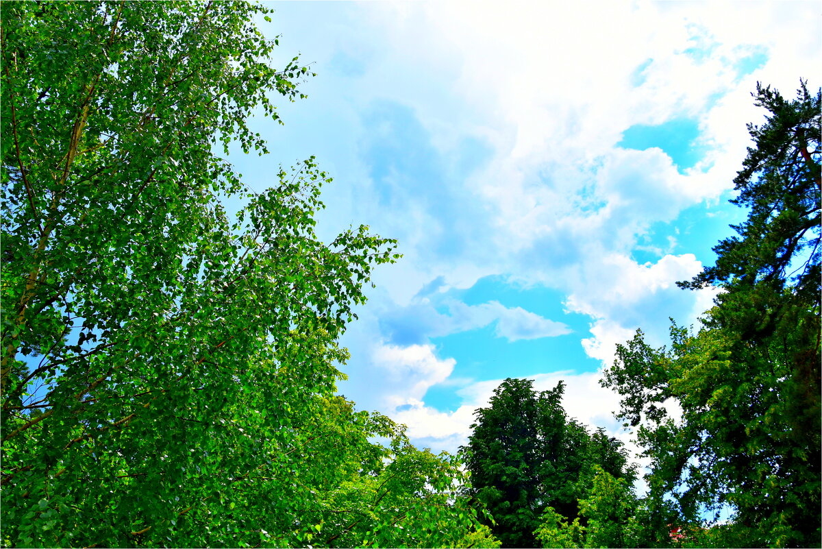 ВЕСНА - Юрий Владимирович 34