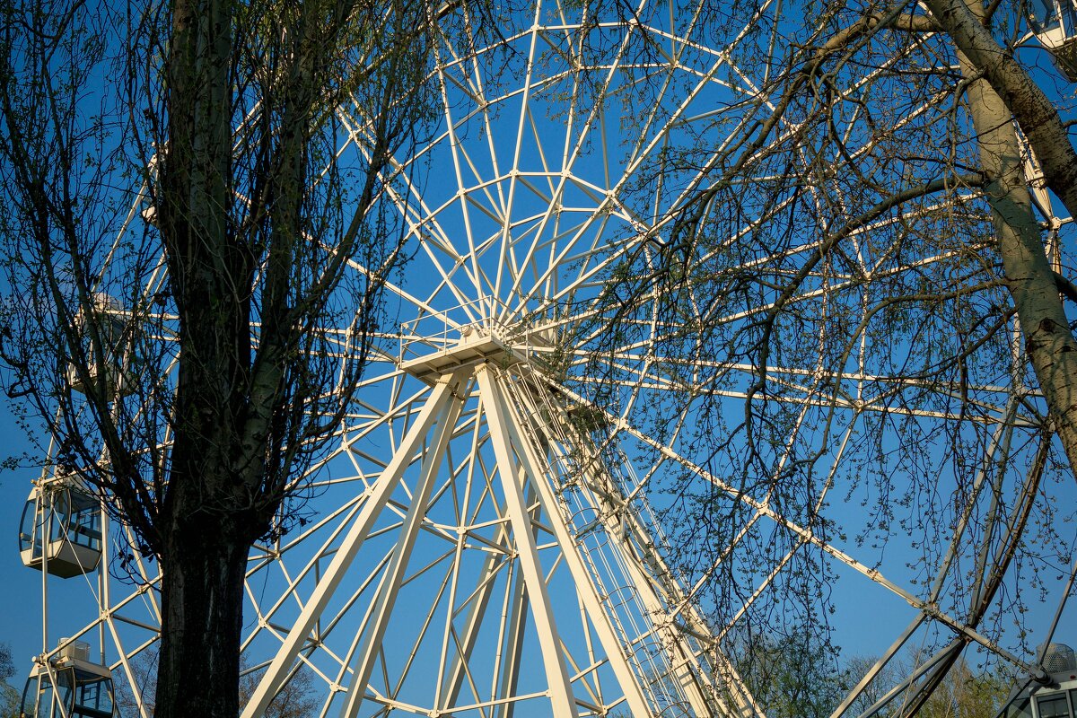 Колесо обозрения в Нижнем парке Липецка - Дмитрий Ряховский Колесо обозрения в Нижнем парке Липецка - Дмитрий Ряховский