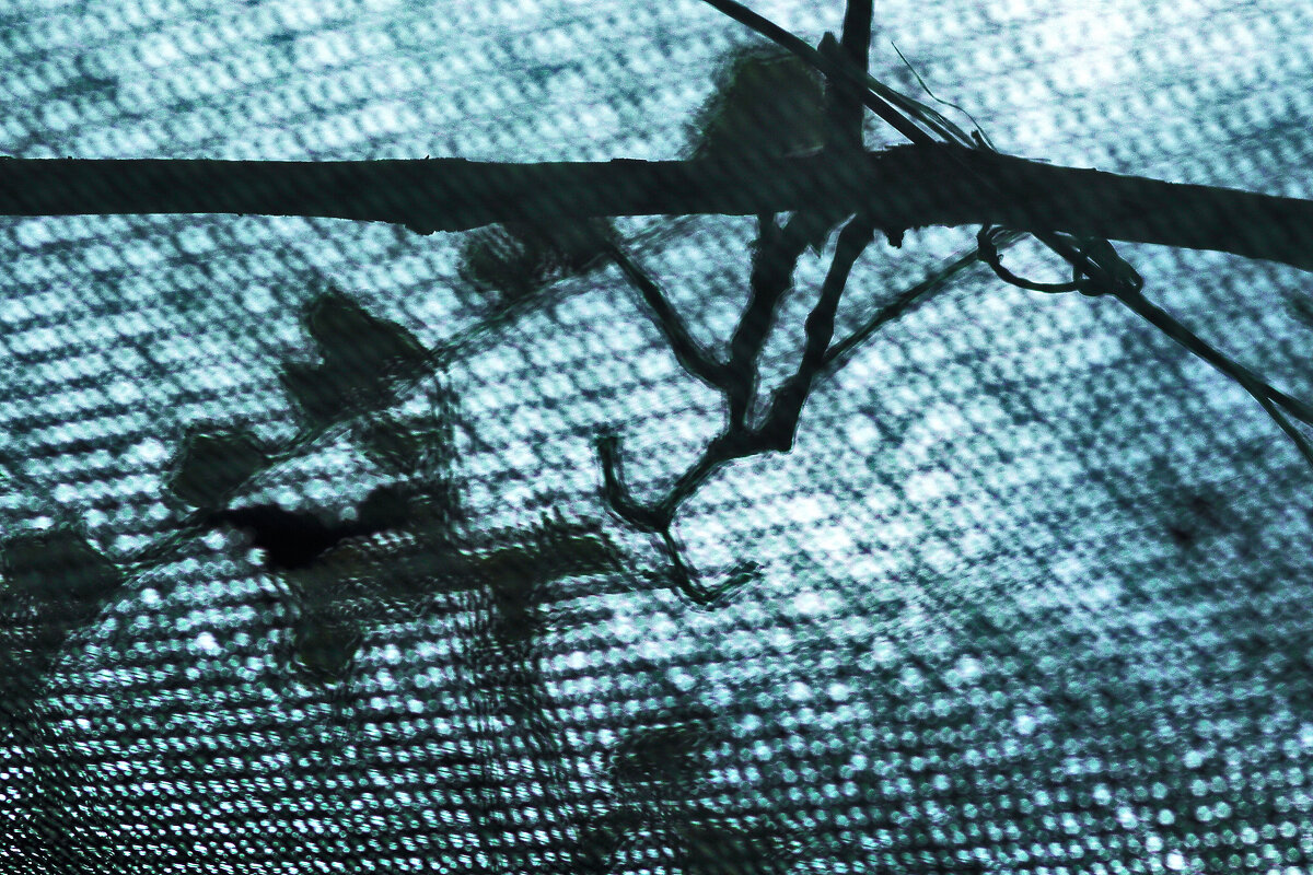 Через сетку - Юрий Гайворонскiий