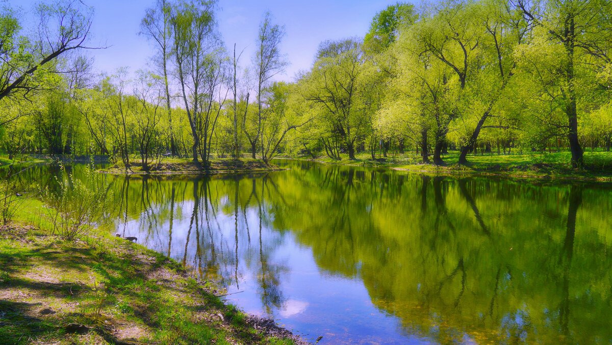 Весна - Наталья Лакомова