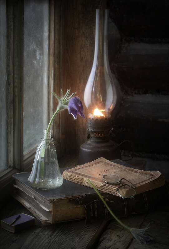 Цветок во флаконе 2025 - Сергей Алексеев