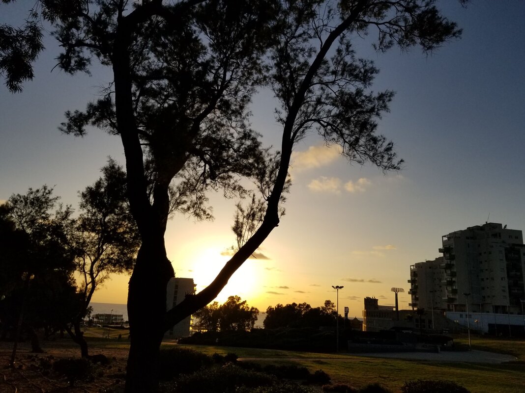 На закате. - Светлана Хращевская