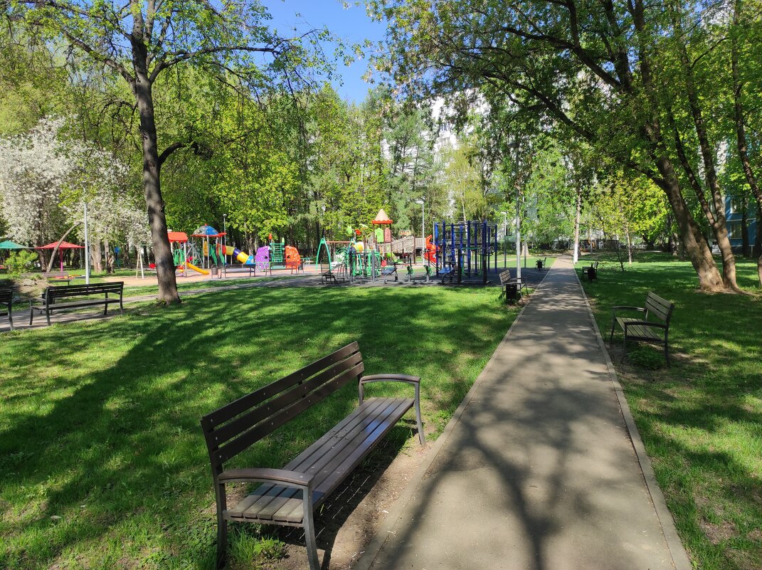 Утренняя прогулка - Игорь Ч. Утренняя прогулка - Игорь Ч.