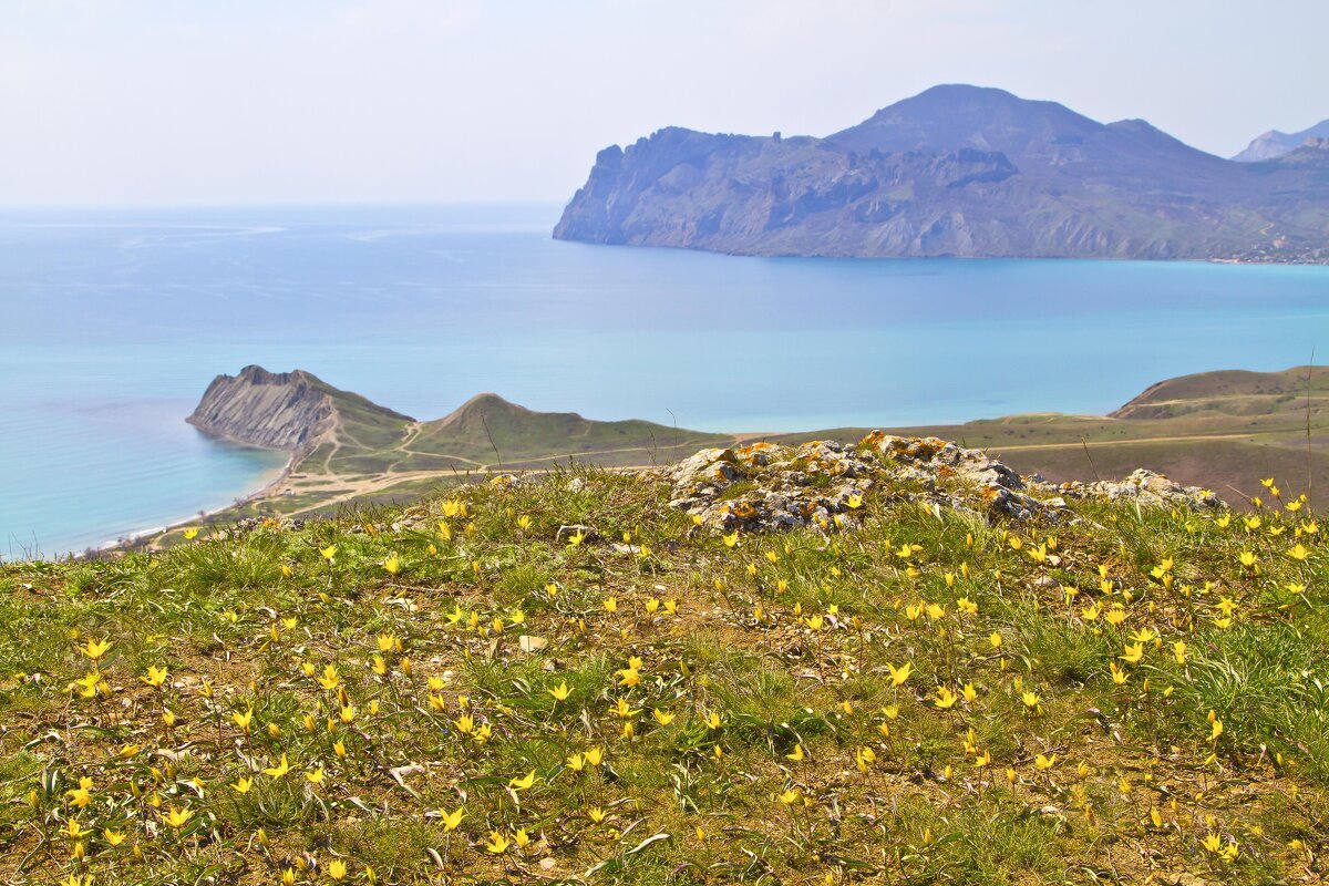 Крокусы - Геннадий Валеев