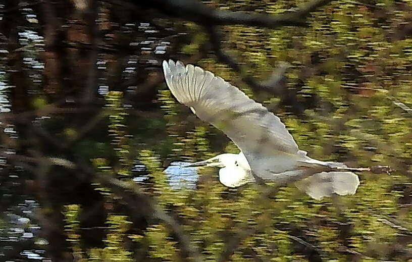 весна - ИННА ПОРОХОВА