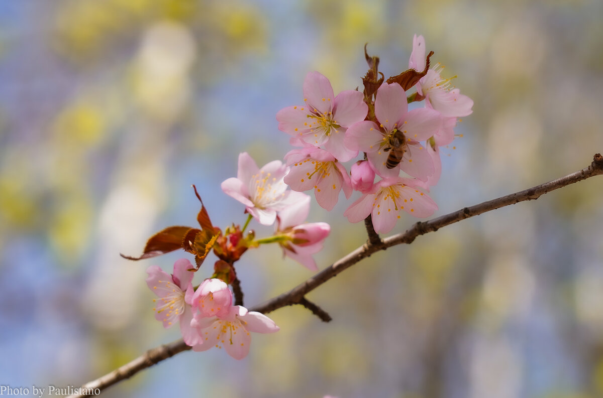 Пробуждение... - Владимир Жданов Пробуждение... - Владимир Жданов