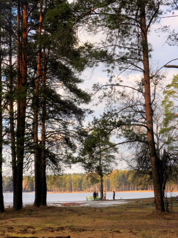*** - Юрий Велицкий *** - Юрий Велицкий