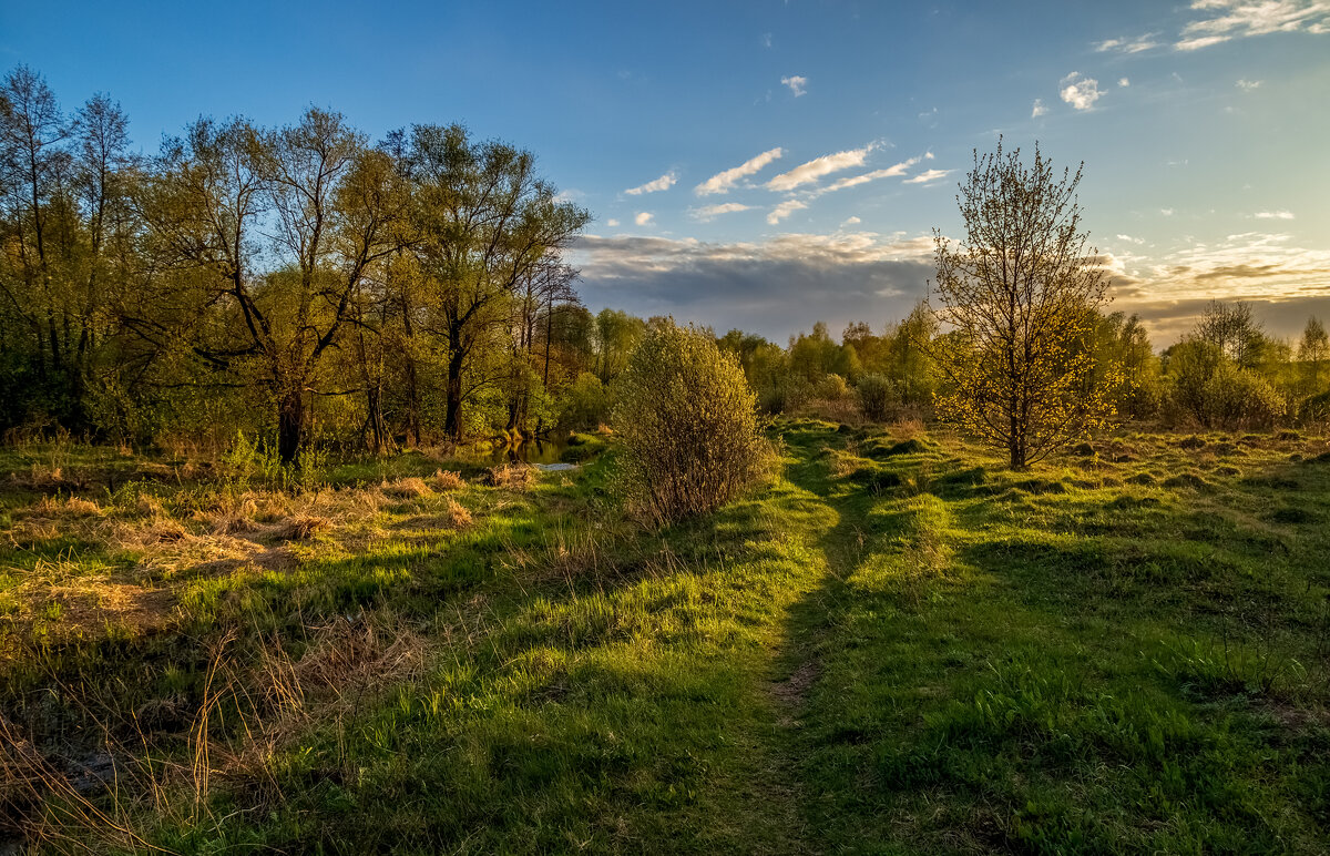 Весенний вечер - Андрей Дворников