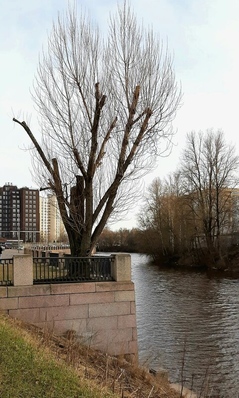 р. Охта - Наталья Герасимова