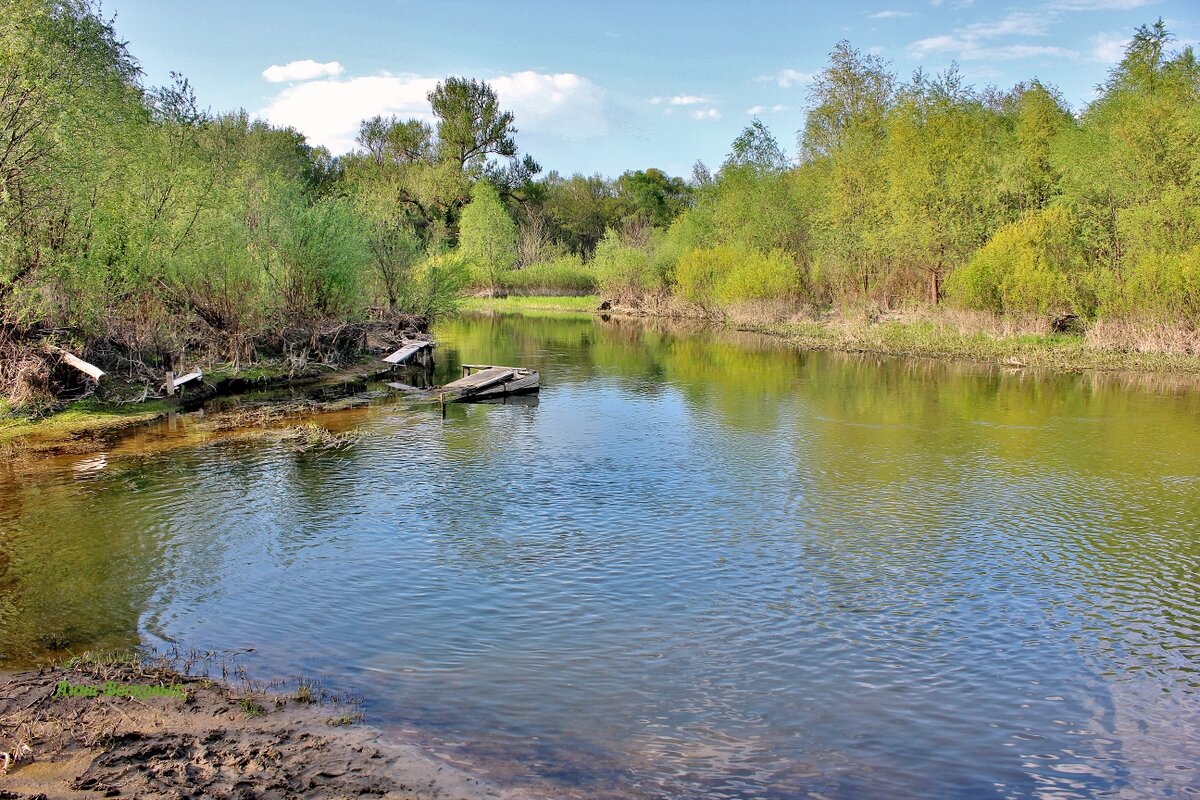 Речка Свинцовка в разливе. - Восковых Анна Васильевна Речка Свинцовка в разливе. - Восковых Анна Васильевна