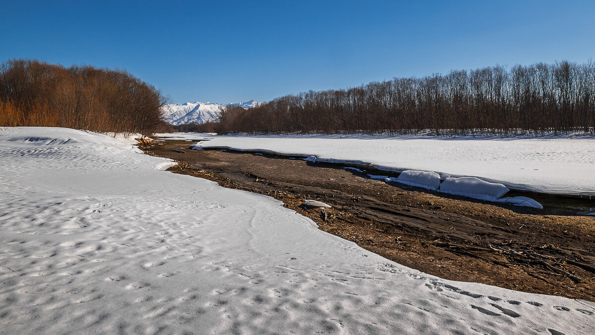 ... - Жора Житников