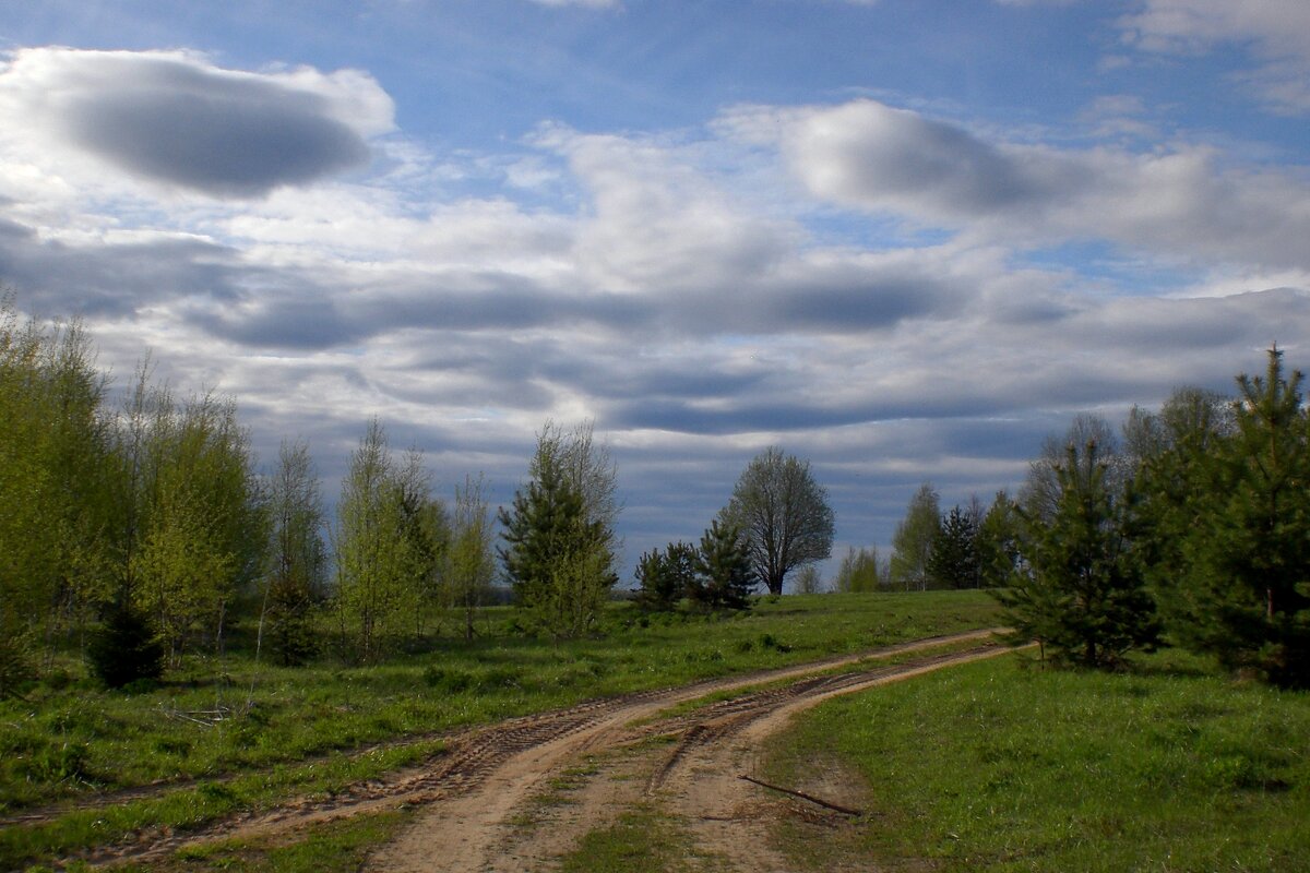 Сельская дорога - Дмитрий И_