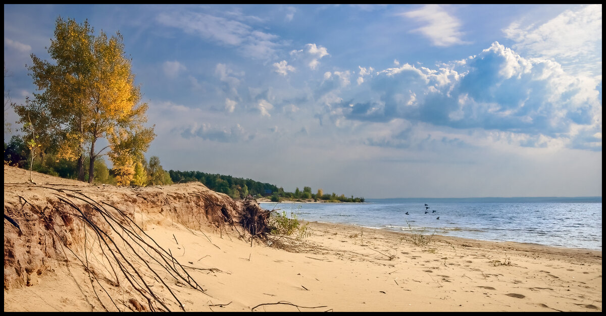 Осень - **** vedin Осень - **** vedin