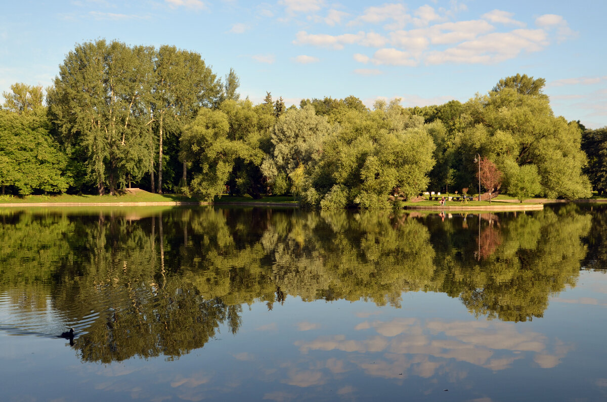 Утренняя прогулка у озера - Сергей М 