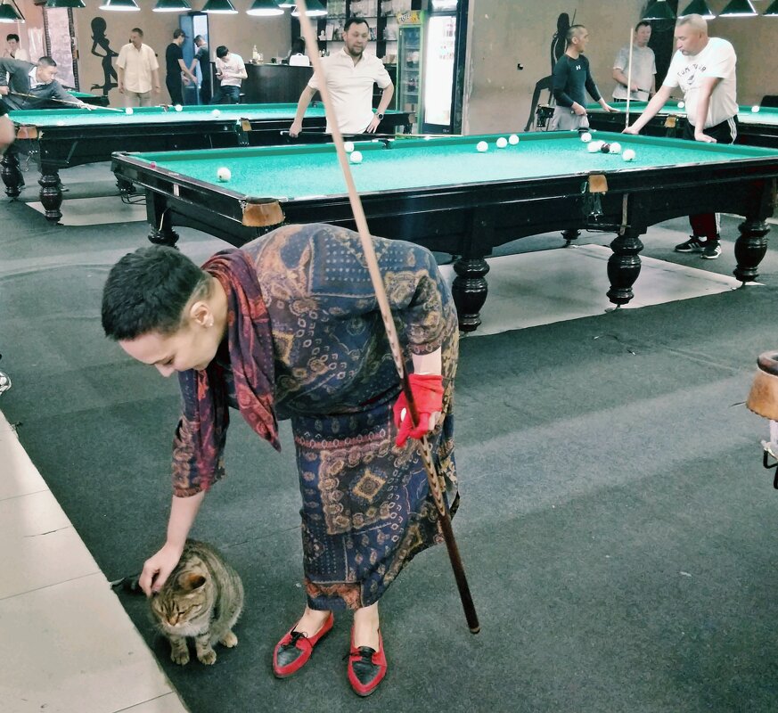 Котик Симба и Асия. - Андрей Хлопонин Котик Симба и Асия. - Андрей Хлопонин