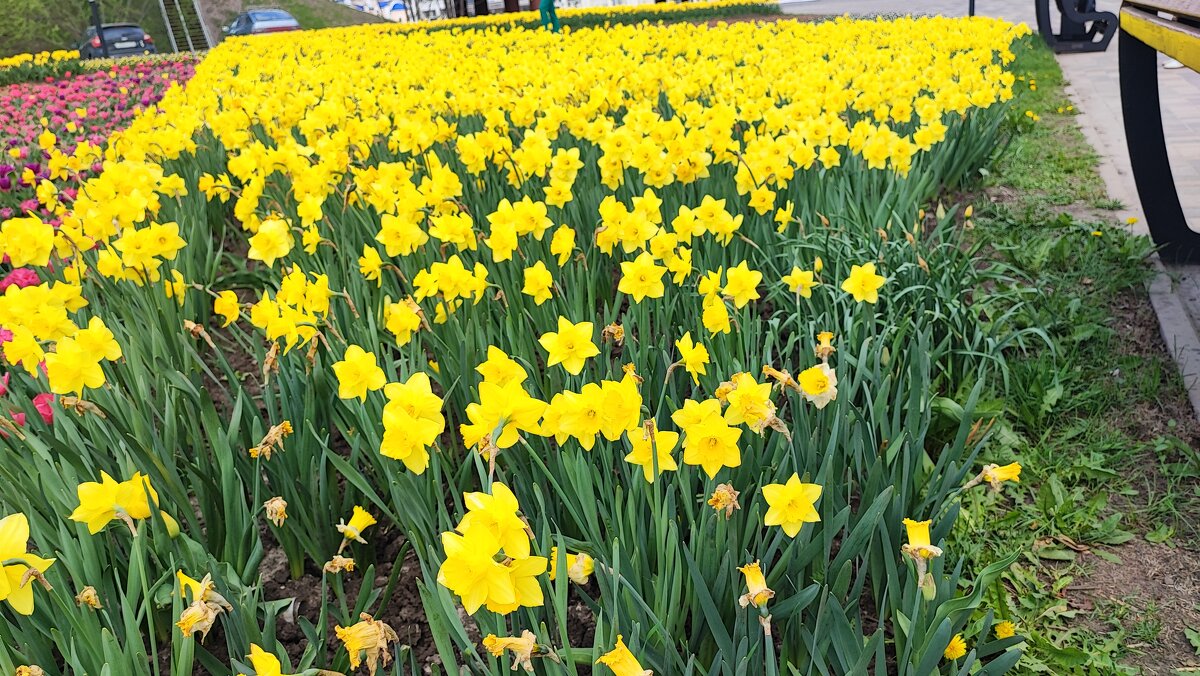 ,,, - Сергей Тимоновский