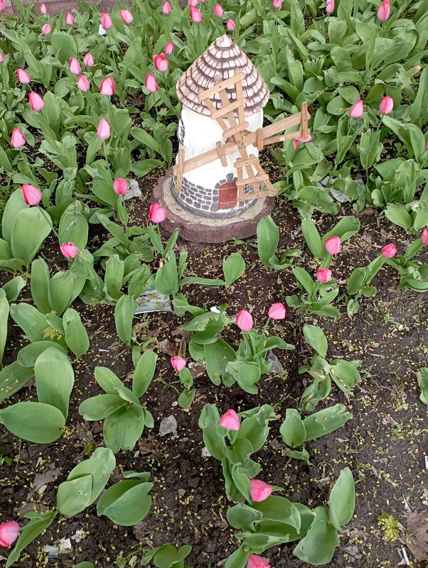 ***** - Елена Семигина