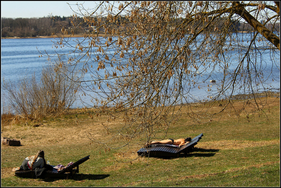 Дождались.... - Aleksandr Gal