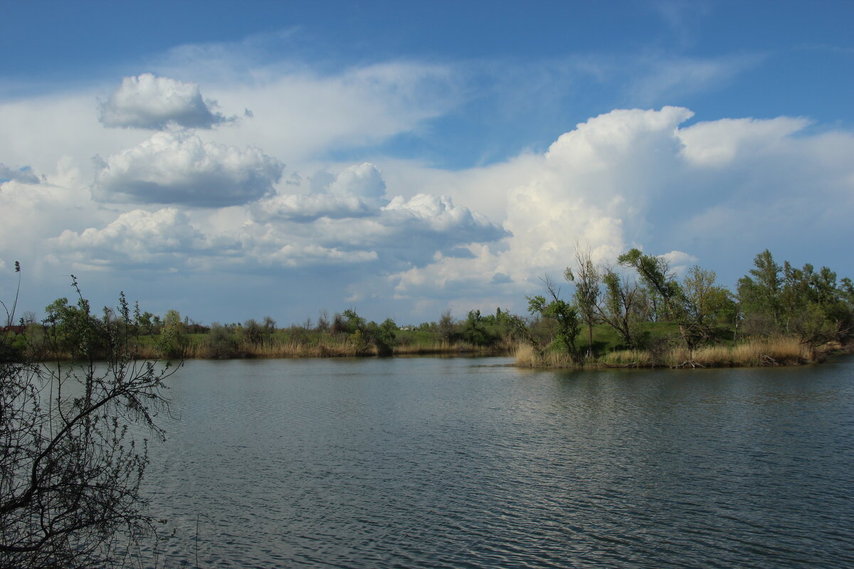 Донские виды. - Виктор 