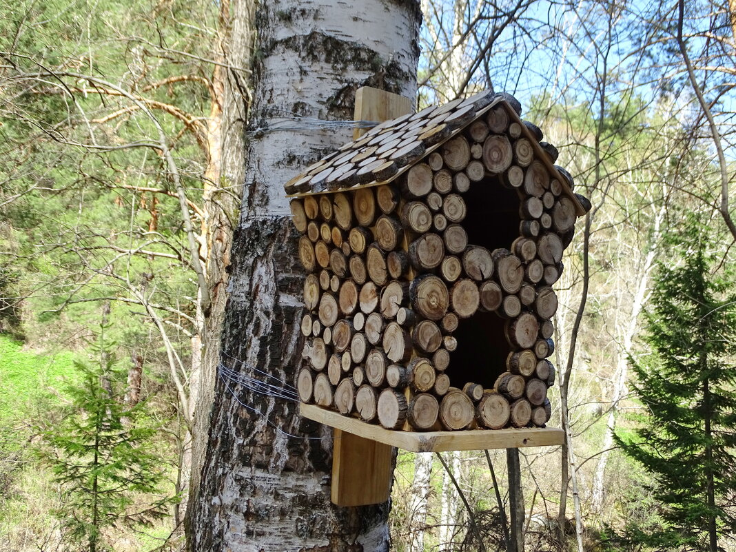 Стильная кормушка - Павел Трунцев Стильная кормушка - Павел Трунцев