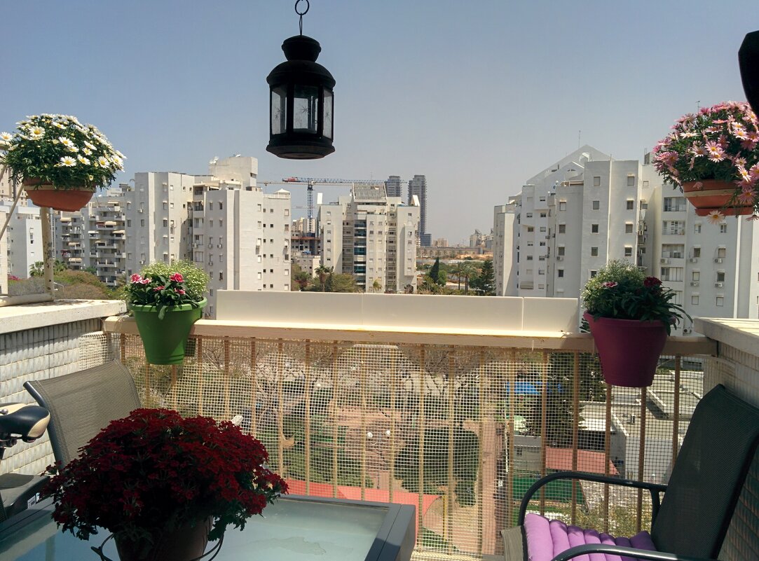 Цветы на балконе. - Светлана Хращевская