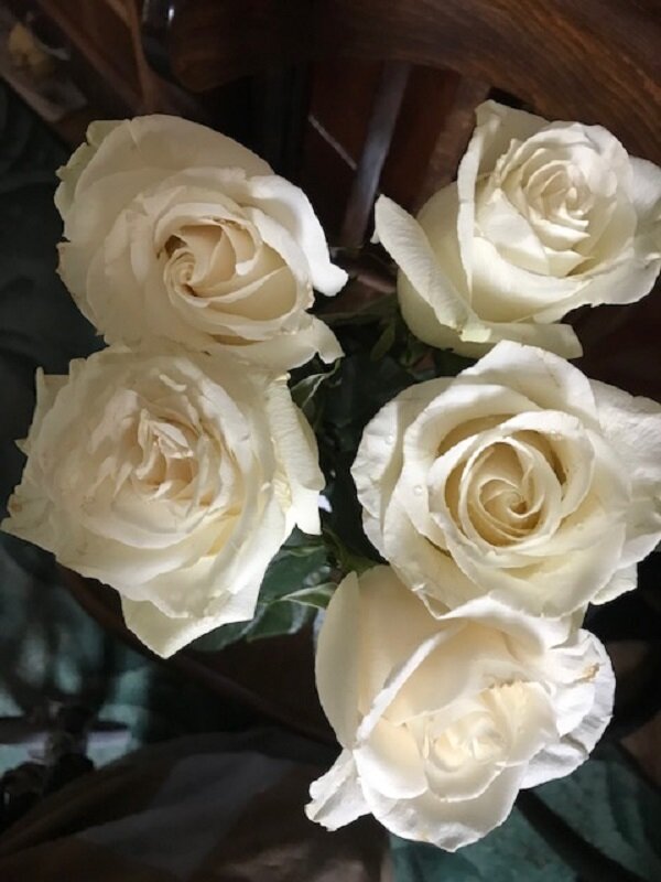 Из цикла "Розы" - Татьяна Юрасова Из цикла "Розы" - Татьяна Юрасова