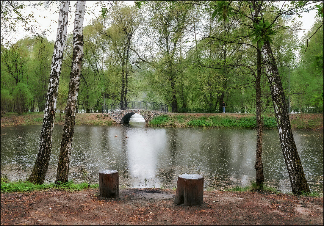 Весенний пейзаж - Серый 