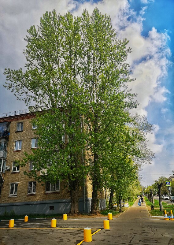 ***** - Алексей Архипов