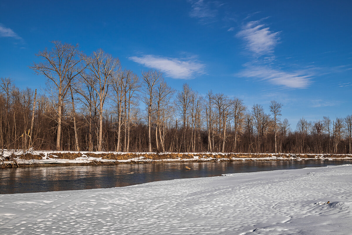 ... - Жора Житников ... - Жора Житников