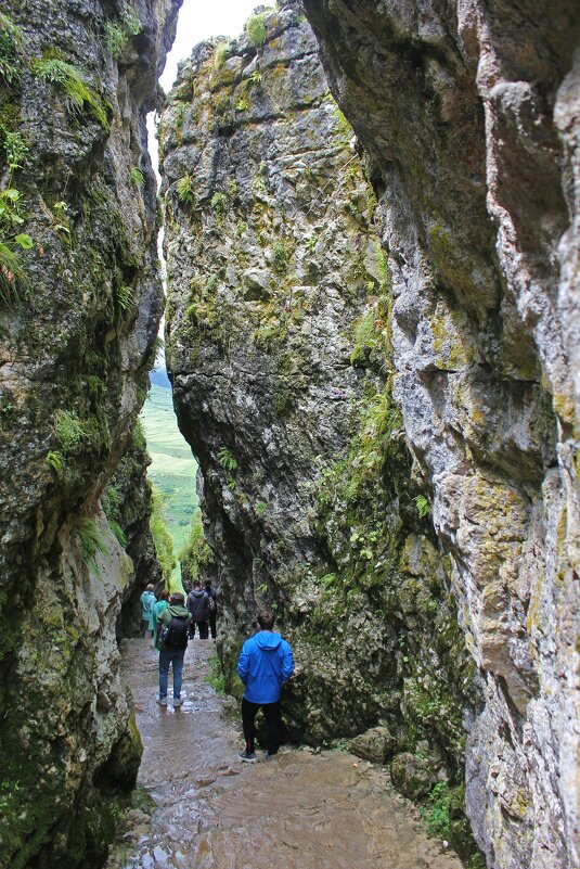 Потайной ход - Владимир Соколов (svladmir)