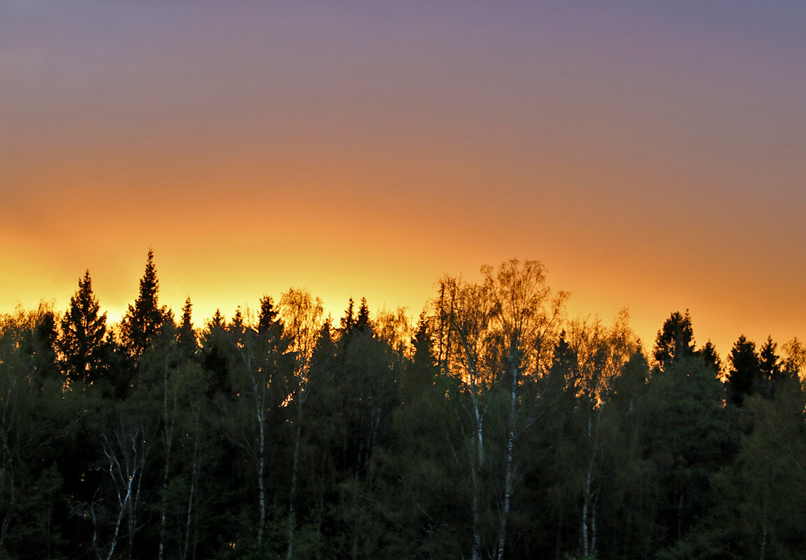 Закат в апреле - Светлана 