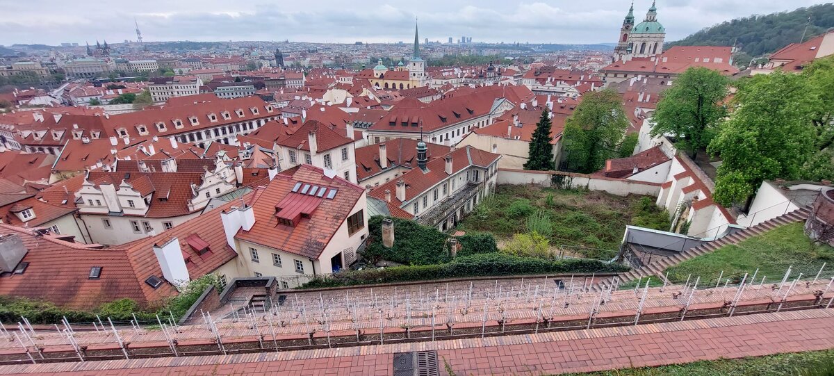 В Праге - Ирэн 