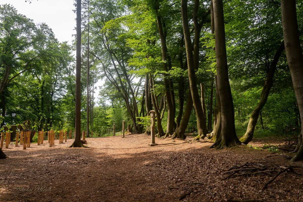 В лесопарке... - Николай Гирш