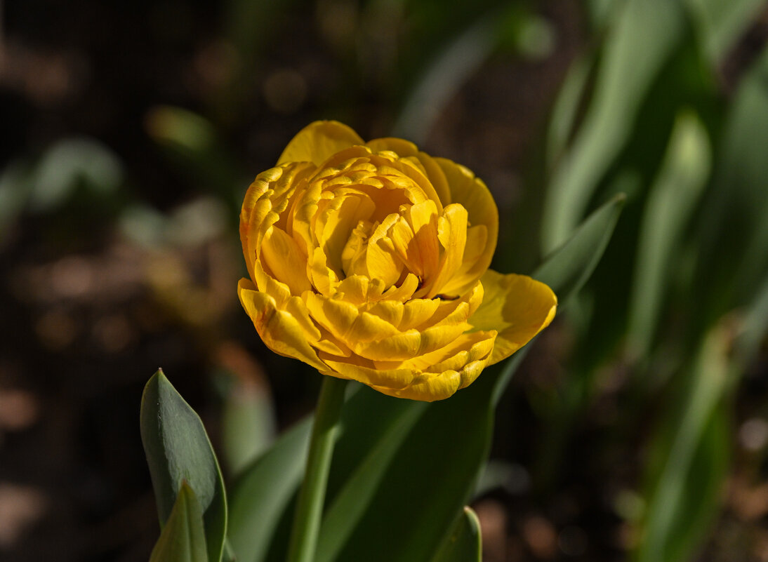 *** - Вадим *** - Вадим