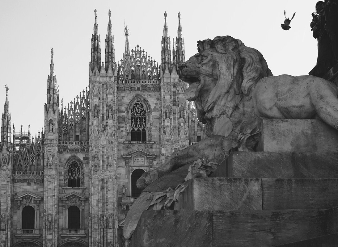 Миланский лев - Civetta ***