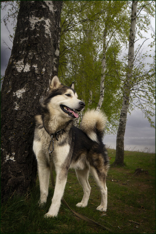 Ярик. - leff Postnov Ярик. - leff Postnov