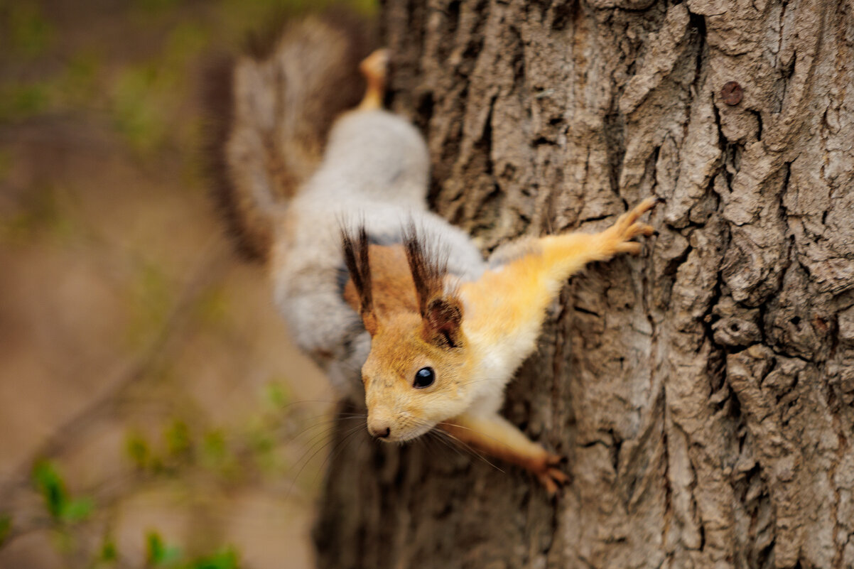 Че там? - Aleksey Zaikin