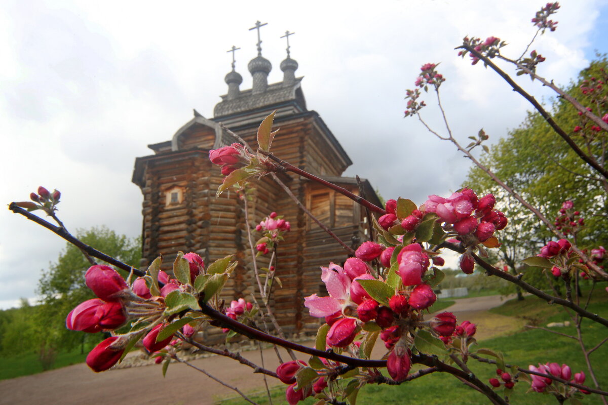 Коломенское 27 апреля - Михаил Бибичков Коломенское 27 апреля - Михаил Бибичков