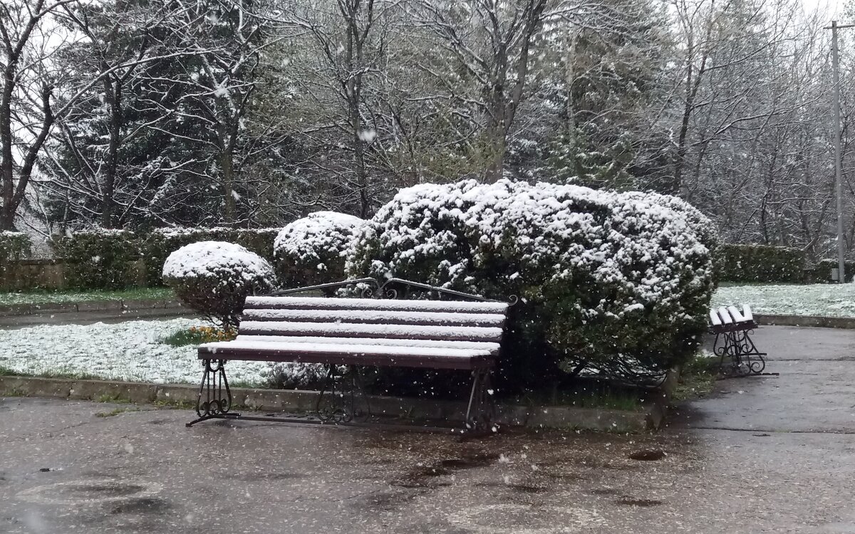 Падает снег - Galina Solovova