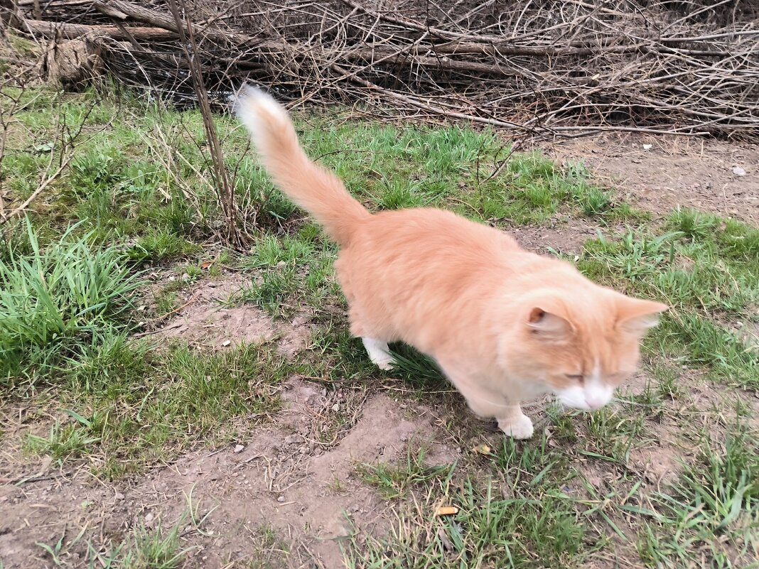 Абрикос встречает на станции. - Ольга Абрикос встречает на станции. - Ольга